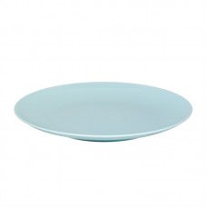 Mint Pantry Elko Melamine 9.75" Dinner Plate MNTP2232